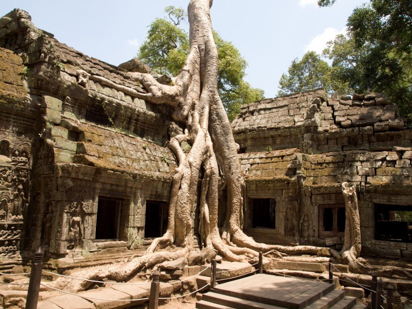 Ta Prohm Temple