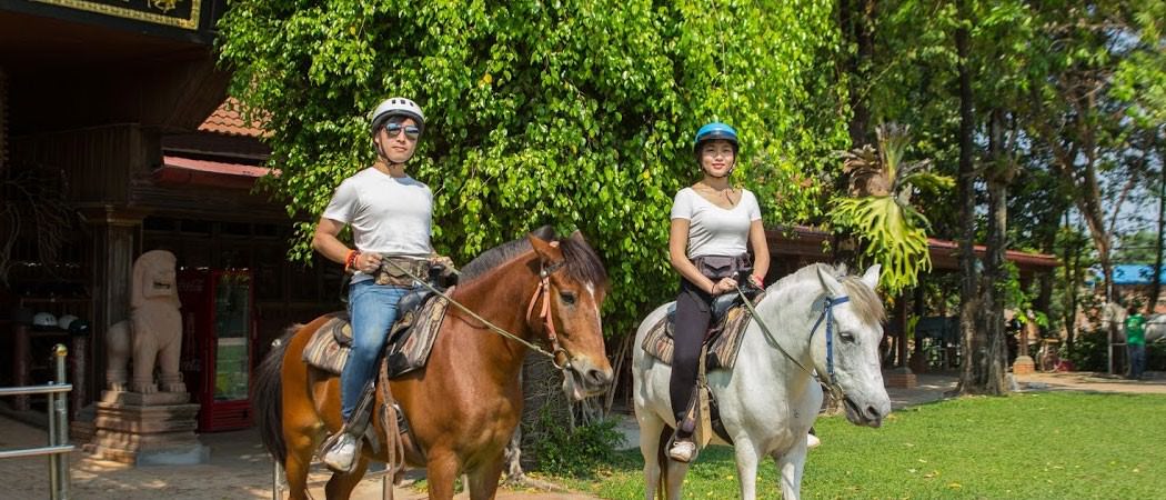 Horse-drawn Cart Ride & Horse Back Ride